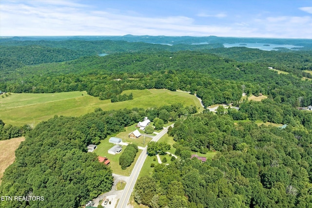 5661 Willow Grove Hwy, Allons, TN 38541 - photo 15