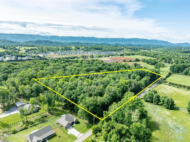 2738 Carpenters Grade Rd, Maryville, TN 37803 - photo 1