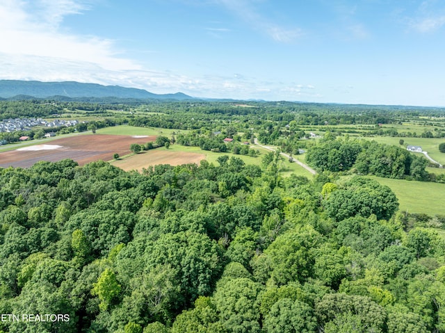2738 Carpenters Grade Rd, Maryville, TN 37803 - photo 4