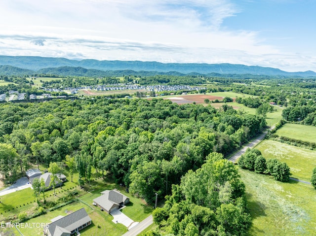 2738 Carpenters Grade Rd, Maryville, TN 37803 - photo 6