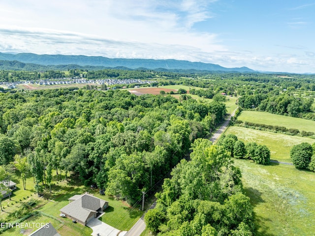 2738 Carpenters Grade Rd, Maryville, TN 37803 - photo 7