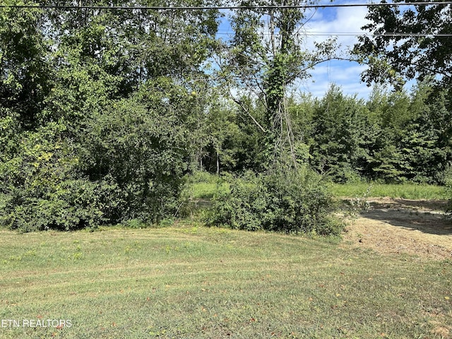 N Linden Dr, Alcoa, TN 37701 - photo 6
