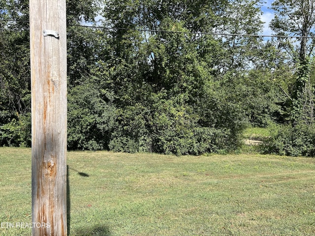 N Linden Dr, Alcoa, TN 37701 - photo 7