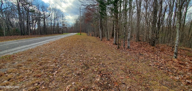 Burks Pl, Monterey, TN 38574 - photo 2