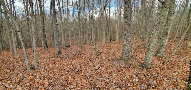 Burks Pl, Monterey, TN 38574 - photo 3