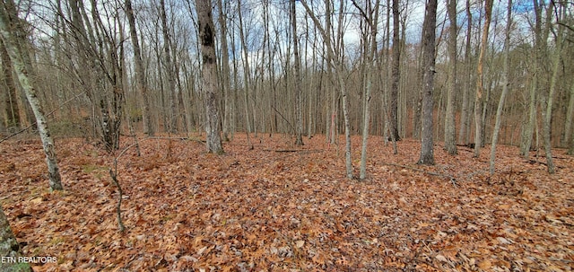 Burks Pl, Monterey, TN 38574 - photo 5