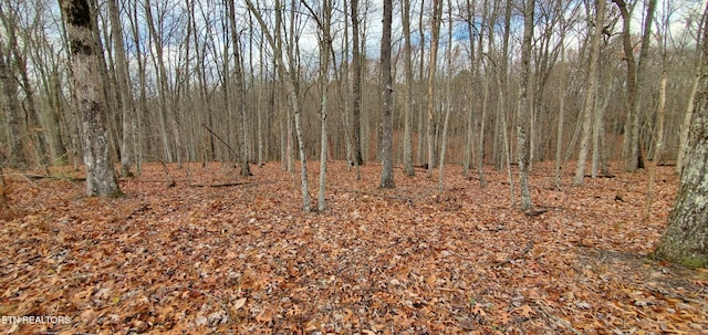 Burks Pl, Monterey, TN 38574 - photo 1