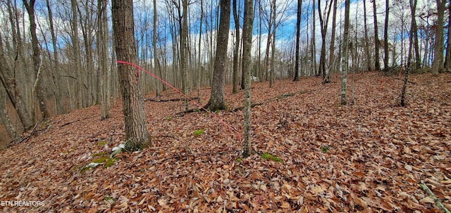 Burks Pl, Monterey, TN 38574 - photo 4