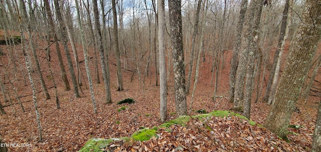Burks Pl, Monterey, TN 38574 - photo 6