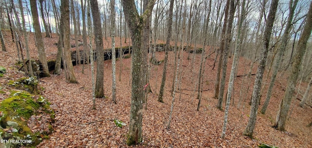 Burks Pl, Monterey, TN 38574 - photo 7