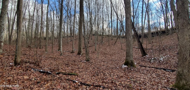 Burks Pl, Monterey, TN 38574 - photo 8