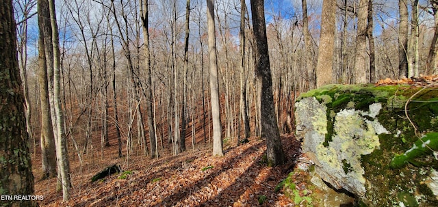 Burks Pl, Monterey, TN 38574 - photo 14