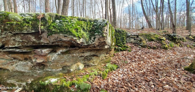 Burks Pl, Monterey, TN 38574 - photo 17