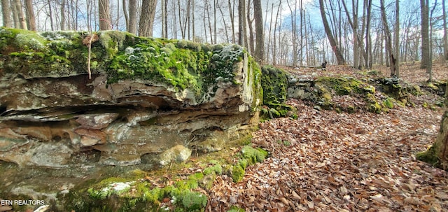 Burks Pl, Monterey, TN 38574 - photo 18