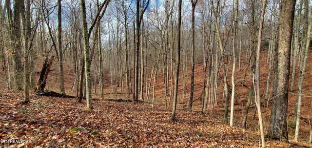Burks Pl, Monterey, TN 38574 - photo 19