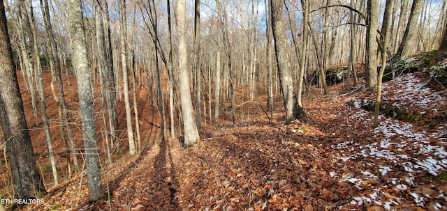 Burks Pl, Monterey, TN 38574 - photo 20