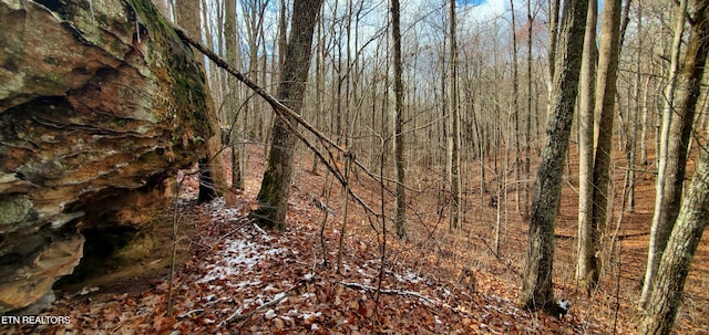 Burks Pl, Monterey, TN 38574 - photo 21