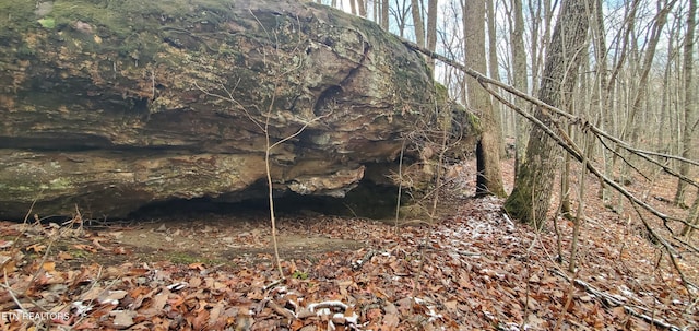 Burks Pl, Monterey, TN 38574 - photo 22