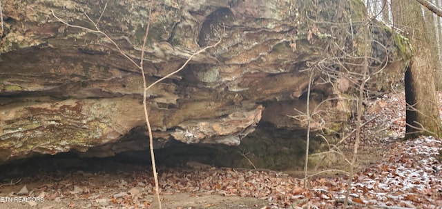 Burks Pl, Monterey, TN 38574 - photo 23