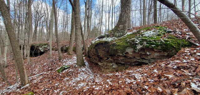 Burks Pl, Monterey, TN 38574 - photo 31