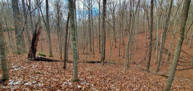 Burks Pl, Monterey, TN 38574 - photo 33