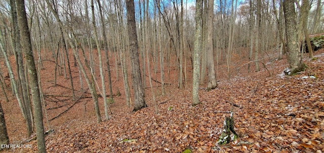 Burks Pl, Monterey, TN 38574 - photo 34