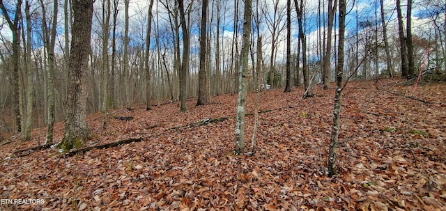 Burks Pl, Monterey, TN 38574 - photo 35