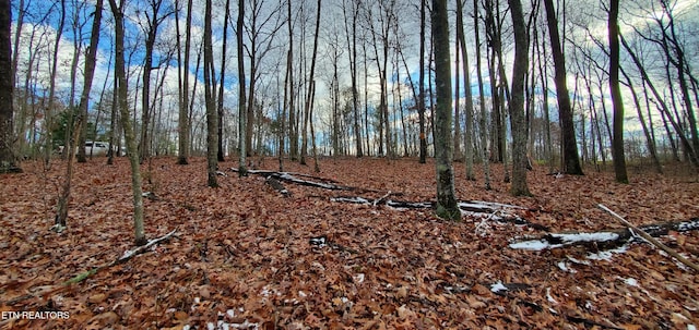 Burks Pl, Monterey, TN 38574 - photo 37