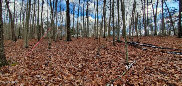 Burks Pl, Monterey, TN 38574 - photo 38