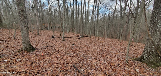 Burks Pl, Monterey, TN 38574 - photo 36
