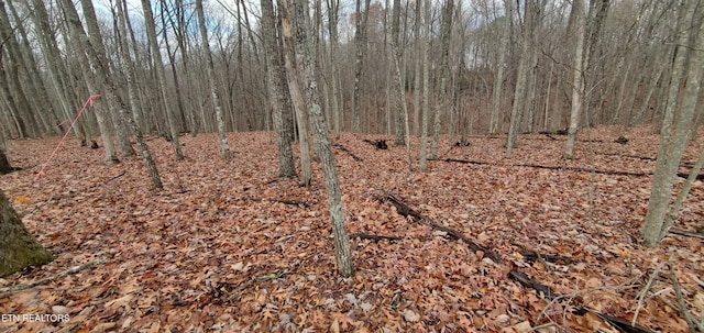 Burks Pl, Monterey, TN 38574 - photo 39