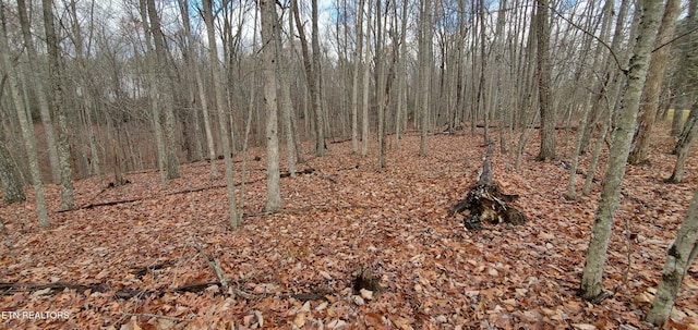 Burks Pl, Monterey, TN 38574 - photo 40