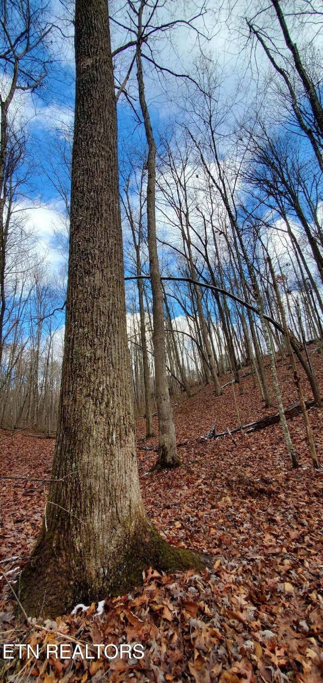 Burks Pl, Monterey, TN 38574 - photo 9