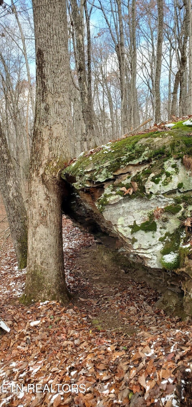 Burks Pl, Monterey, TN 38574 - photo 29