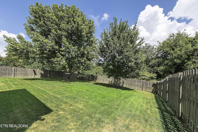2462 Piney Grove Church Rd, Knoxville, TN 37921 - photo 32
