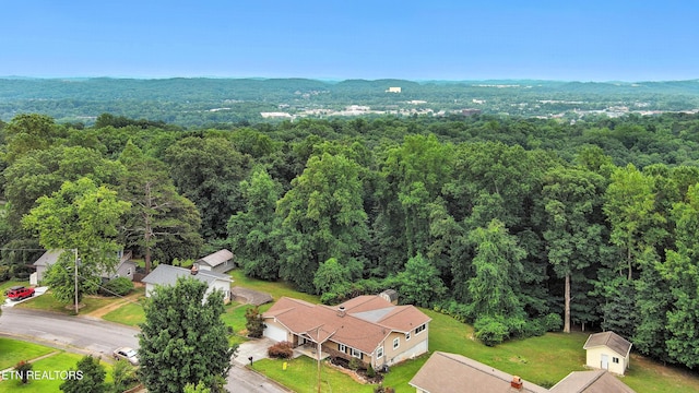 110 Ogden Cir, Oak Ridge, TN 37830 - photo 40