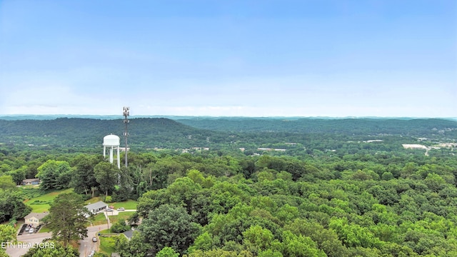 110 Ogden Cir, Oak Ridge, TN 37830 - photo 43