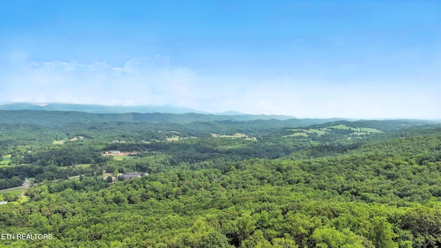 110 Ogden Cir, Oak Ridge, TN 37830 - photo 45