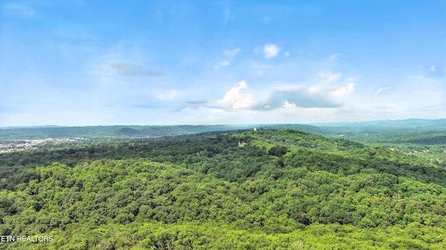 110 Ogden Cir, Oak Ridge, TN 37830 - photo 47