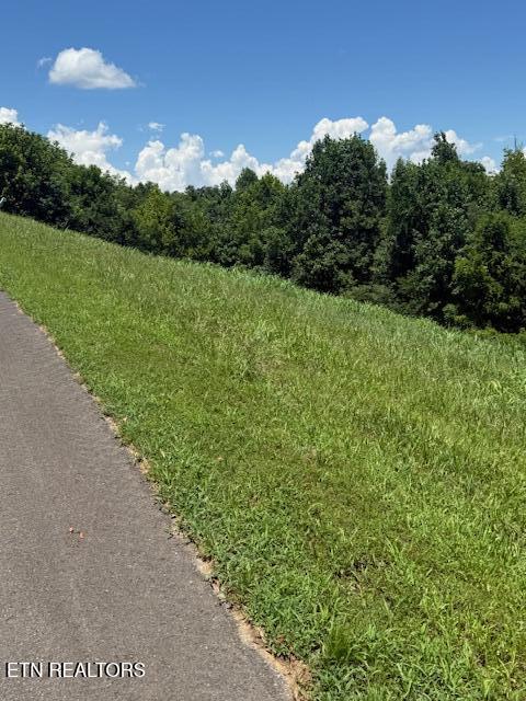 00 Mill Dr, Decatur, TN 37322 - photo 6