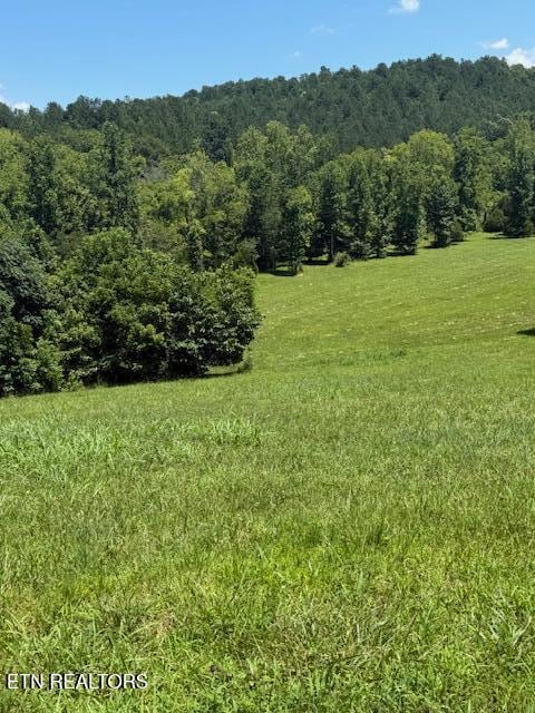 00 Mill Dr, Decatur, TN 37322 - photo 7