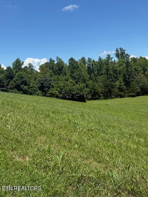 00 Mill Dr, Decatur, TN 37322 - photo 1