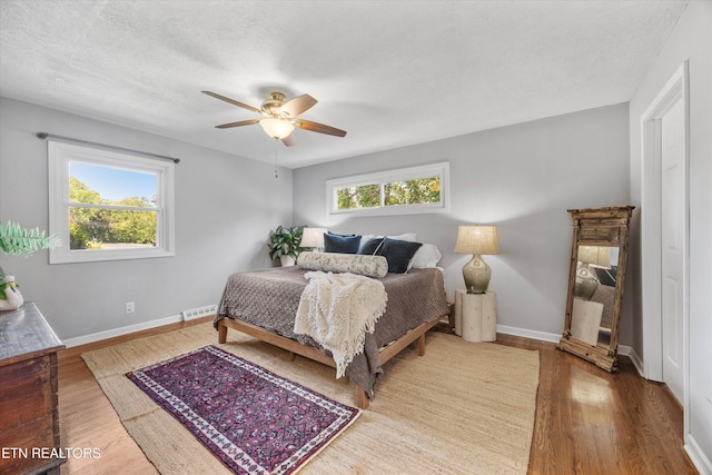 301 NW Portsmouth Rd, Knoxville, TN 37909 - photo 26