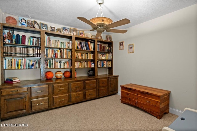 756 Old Hwy, Lake City Hwy, Rocky Top, TN 37769 - photo 40