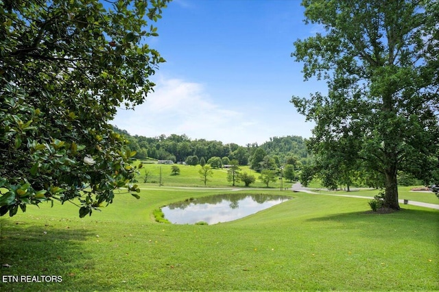 756 Old Hwy, Lake City Hwy, Rocky Top, TN 37769 - photo 57