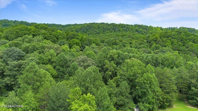 756 Old Hwy, Lake City Hwy, Rocky Top, TN 37769 - photo 58