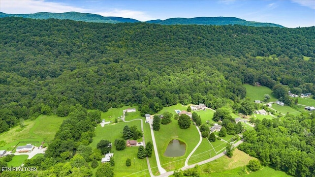756 Old Hwy, Lake City Hwy, Rocky Top, TN 37769 - photo 59