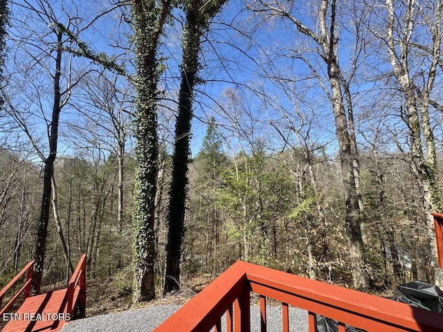 2136 Daisy Trl, Pigeon Forge, TN 37863 - photo 36