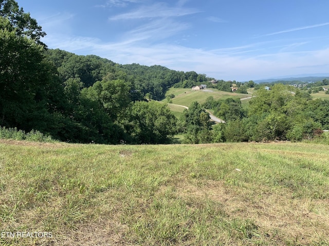 Garfield Ln Lot 164, Sharps Chapel, TN 37866 - photo 2