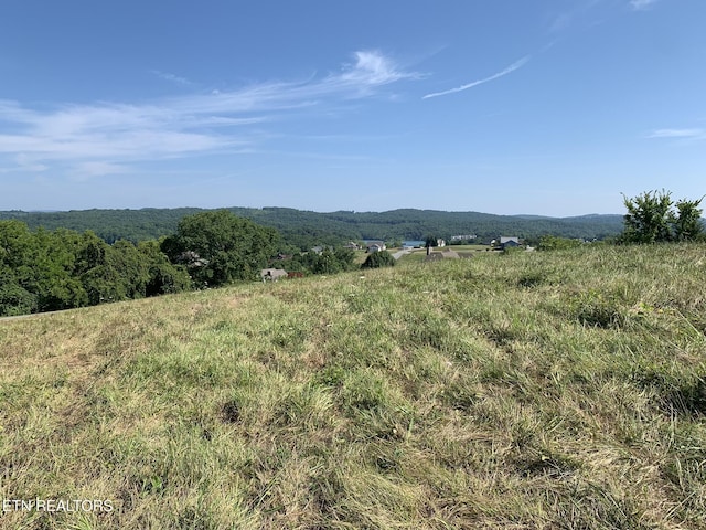 Garfield Ln Lot 164, Sharps Chapel, TN 37866 - photo 5